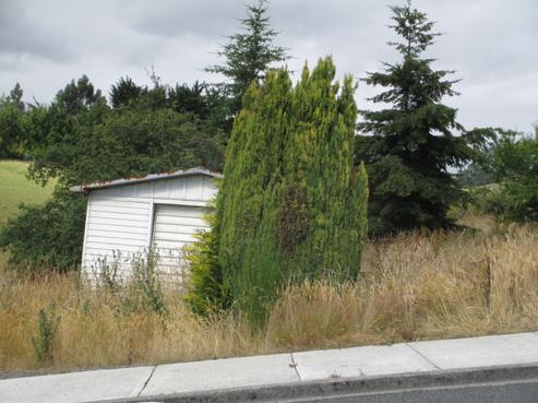 229 Clyde Street, Balclutha