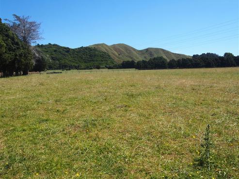589 Otaki Gorge Road, Otaki