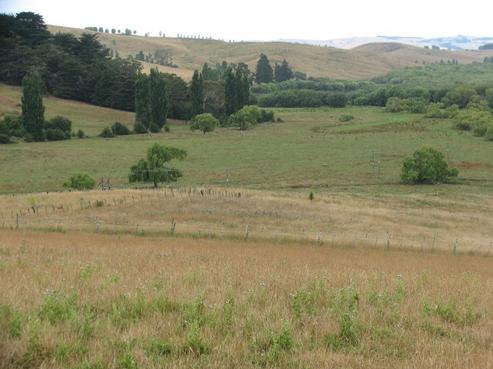 1804 Porangahau Road, Central Hawkes Bay Country