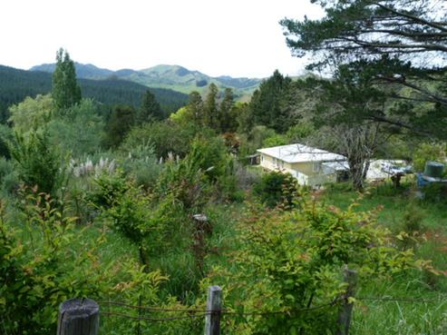 496A Mata Road, Tolaga Bay