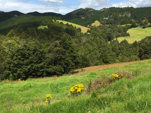 189 Mangahui Road, Whareora