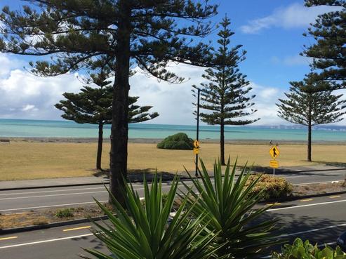 507 Marine Parade, Napier South
