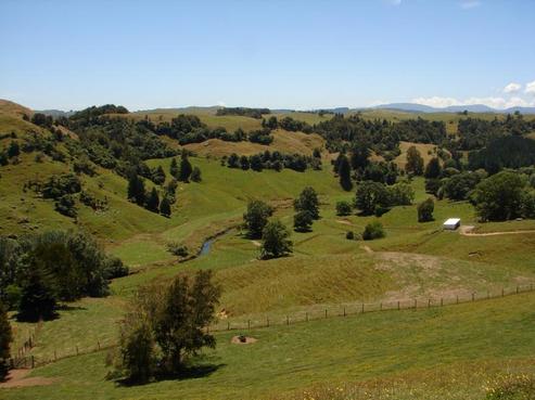 598 Kopaki Road, Te Kuiti