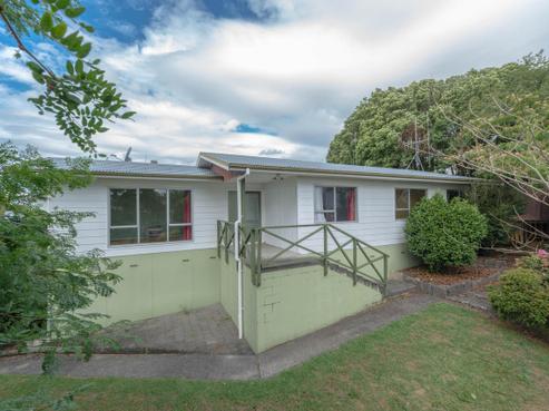 29 Blomfield Street, Nawton