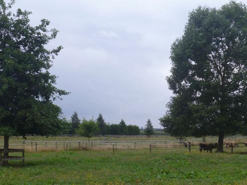 200 Station Road, Matamata