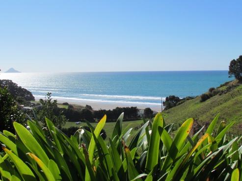 40 Thompson Road, Opotiki and Surrounds