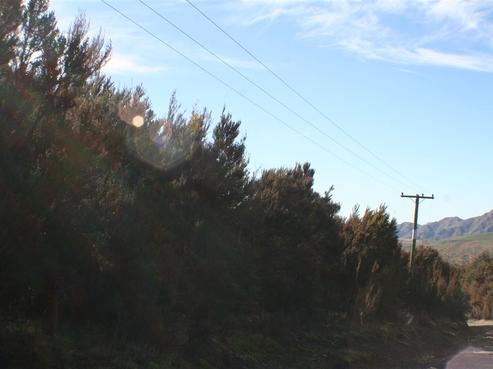 66 Tinline Terrace, Lyford