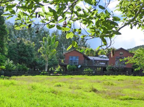 340 Crane Road, Kauri