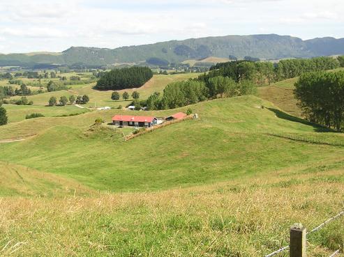 98 Hossack Road, Ngakuru