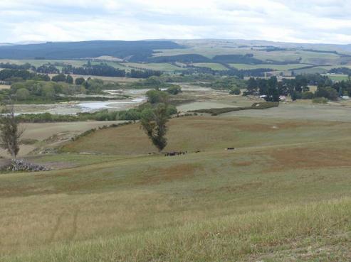 1101 Kakanui Valley Road, Five Forks and Surrounds