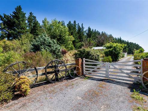 907 State Highway 1, Bulls