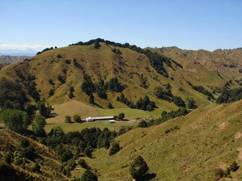 35 Mahuri Road, Taumarunui