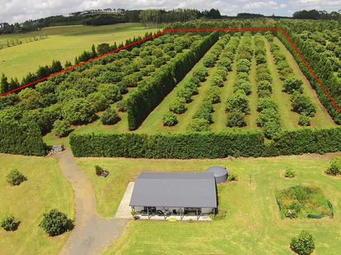 445 Mangakahia Road, Maungatapere