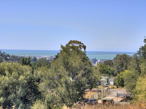 8 Braemar Place, Nelson South