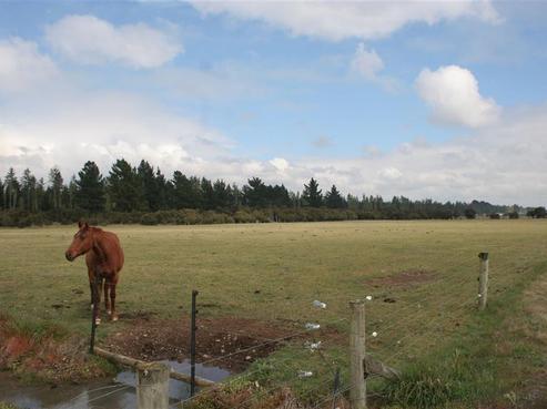 499 Downs Road, West Eyreton