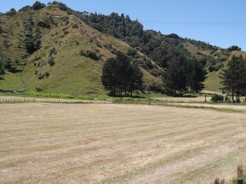 1724 State Highway 3, Uruti