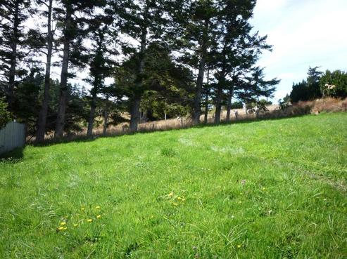 85A Campbells Road, Pine Hill