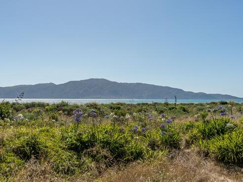 55 Manly Street, Paraparaumu Beach