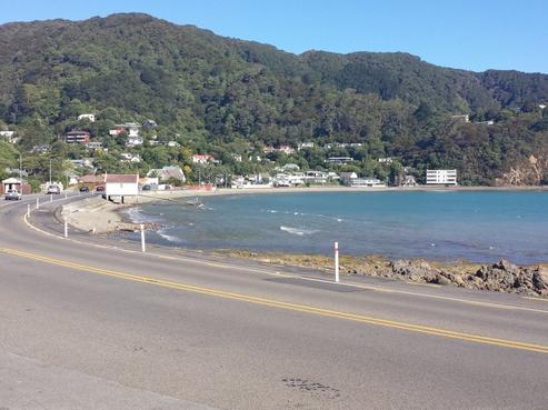 203 Marine Drive, Lowry Bay