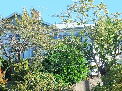 65 Beverley Road, Maori Hill
