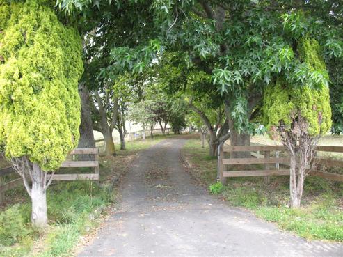415 Te Kowhai Road, Burbush