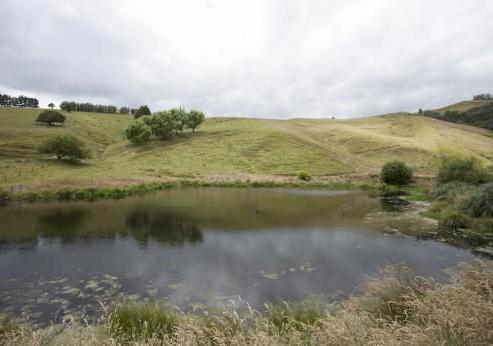 361 Grice Road, Rotoorangi