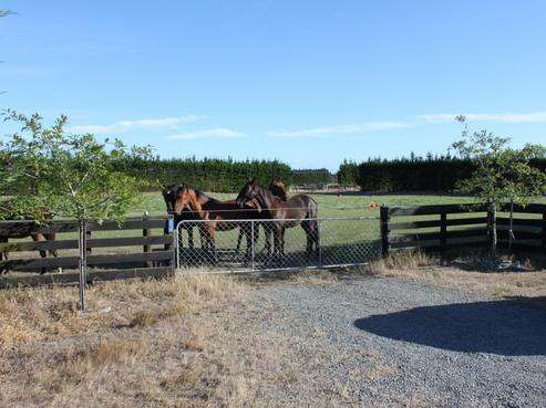 270 Newtons Road, Rolleston