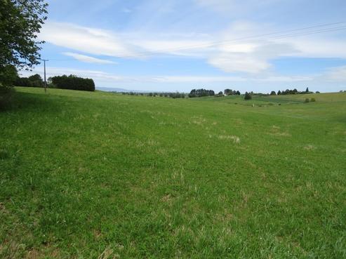 214 Gunn Road, Waharoa