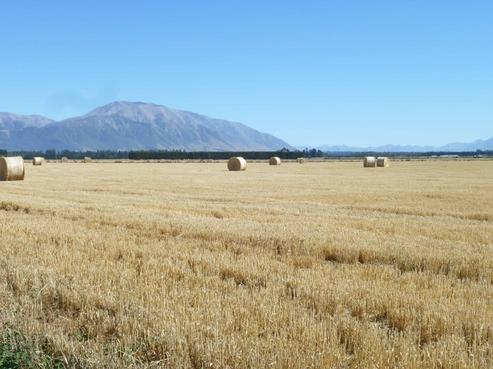 221 Methven Chertsey Road, Methven