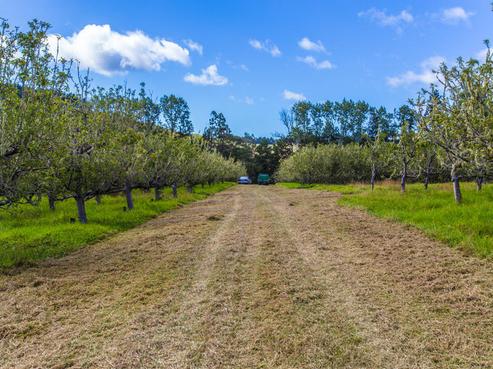 372 Henderson Valley Road, Henderson Valley
