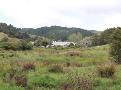 186 Mcbreen Road, Hikurangi