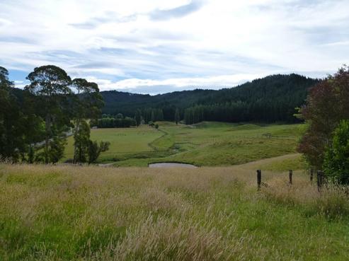 1090 State Highway 2, Wairoa