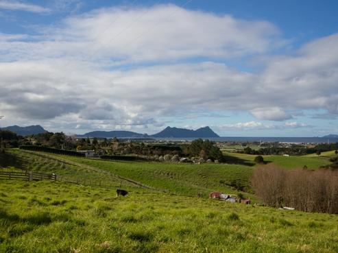 235 Prescott Road, Ruakaka