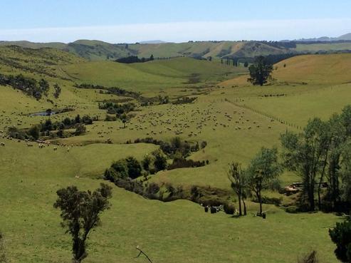 718 Blythe Road, Motunau