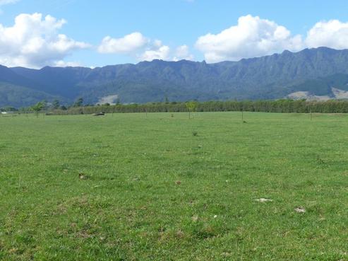 62 Mckinley Road, Te Aroha