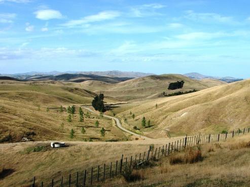 1824 Farm Road, Central Hawkes Bay Country