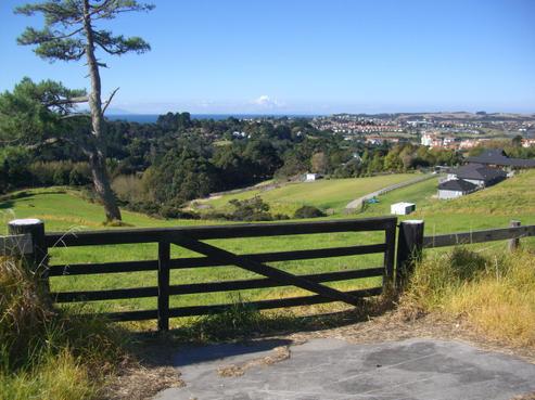 10 Roberts Road, Matakatia