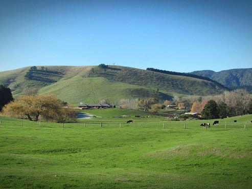 368 Te Weta Road, Ngakuru