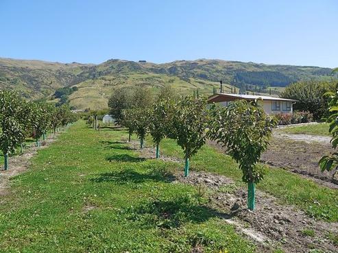 3607 Fruitlands-roxburgh Road, Roxburgh