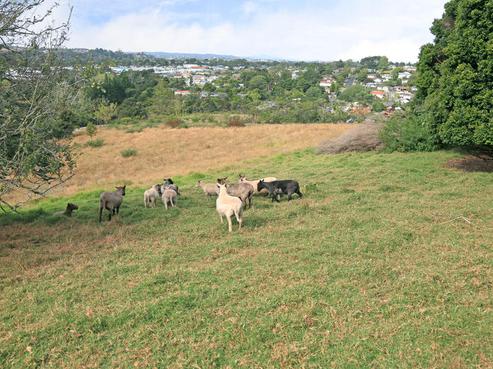 48 O'Neills Road, Swanson