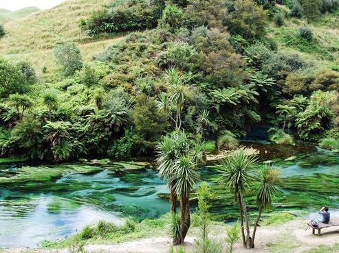 372 Leslie Road, Tapapa