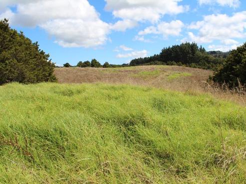 465 Matakana Road, Matakana