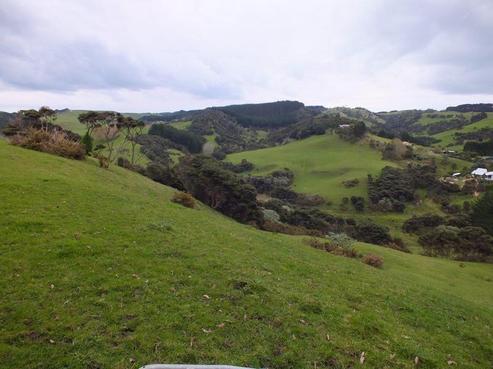 226 Mcpike Road, Waimauku