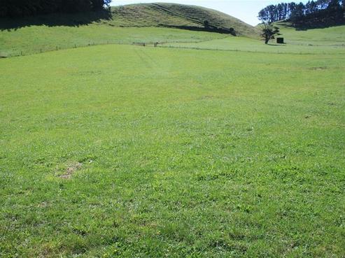 382 Awai Road, Tarurutangi