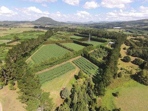 53 Mannington Road, Maungatapere