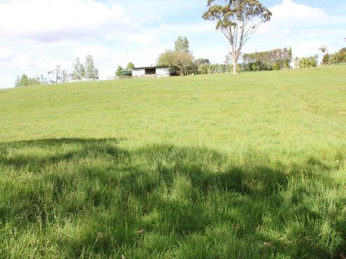 56 Waitangi Road, Kiripaka