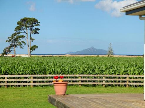 377 Cove Road, Waipu