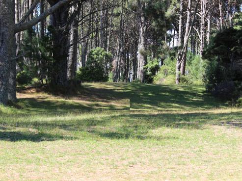750 Matarangi Drive, Matarangi