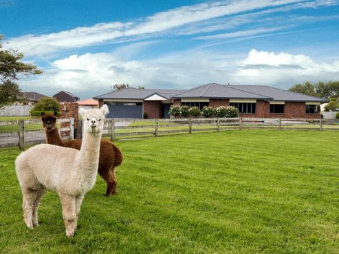 239A Glover Road, Hawera