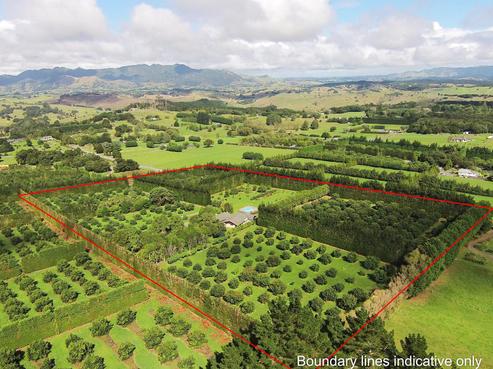 168 Whatitiri Road, Maungatapere